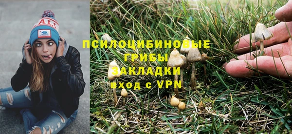 apvp Абаза