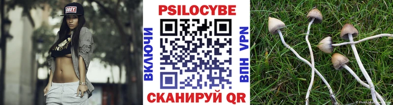 Псилоцибиновые грибы ЛСД  Новое Девяткино 